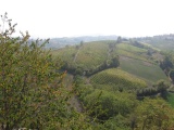 Tn Raduno Parma 066